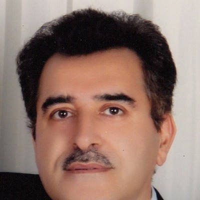 سید علی  حسینی