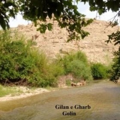 فریبا صیادی