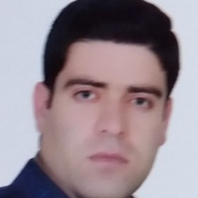 حامد میرزایی شریفی