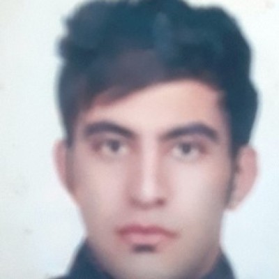 محسن ویسی