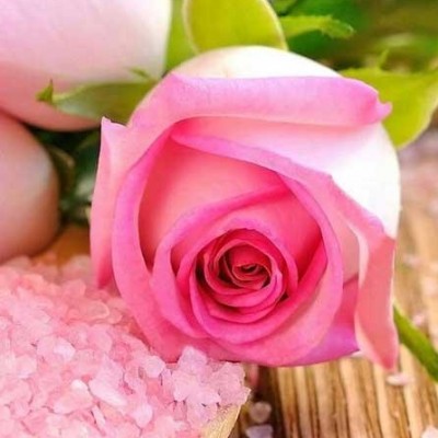 معصومه کاظمی