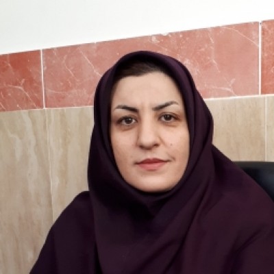 مریم بیرانوندزاده