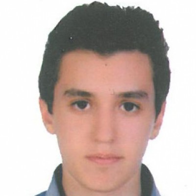 عماد ربیعی حسین آباد