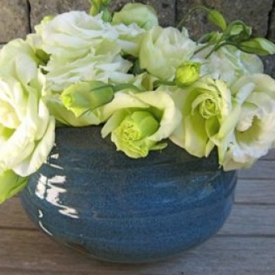 اریسا افضل