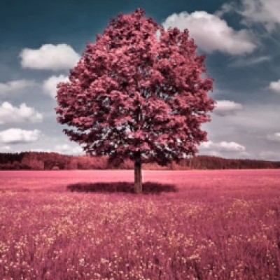 مرضیه حقیقی