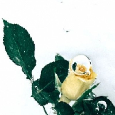 فاطمه احمدی