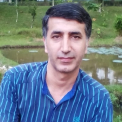 حسن میرزاجانی