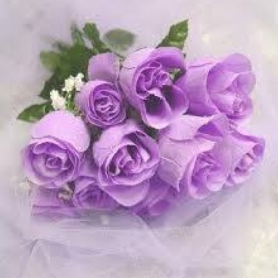 راضیه فراهتی