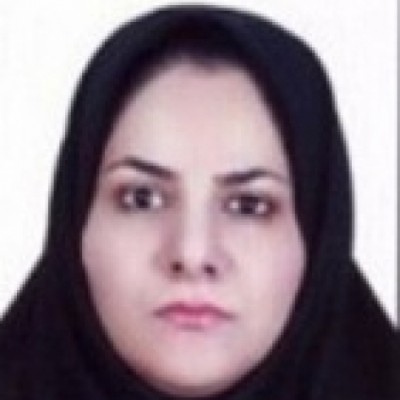 نسيم حسين زاده نصرتي