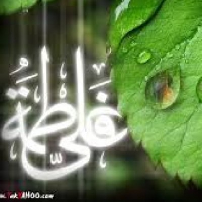 محمود باهوش فاردقی