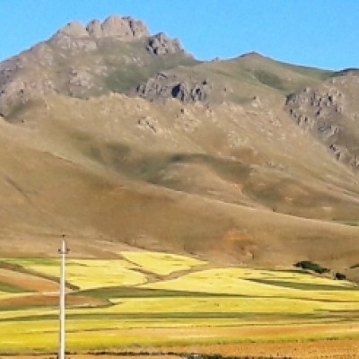 محمود مرادی