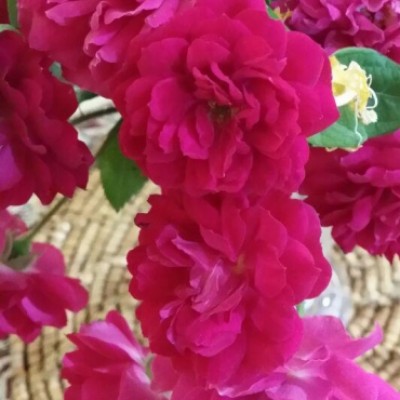 محمود حسن آبادی